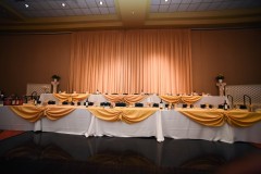 2017 Medical Mission Fund Raising Gala Nite at the Prestigious Camelot Event Center MD 